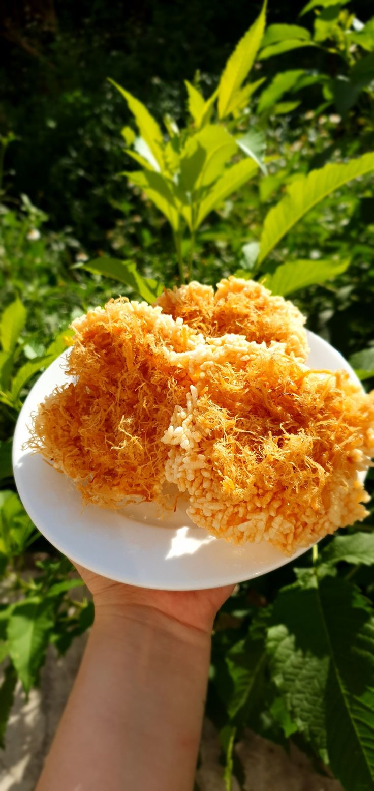 Cơm cháy chà bông hộp
